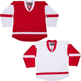 Detroit Red Wings Hockey Jersey - TronX DJ300 Replica Gamewear