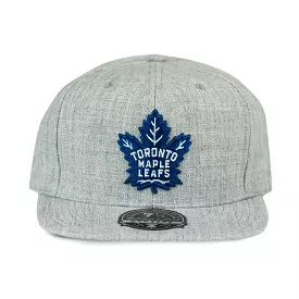 Maple Leafs Mitchell & Ness Men's Team Ground Fitted Hat - GREY