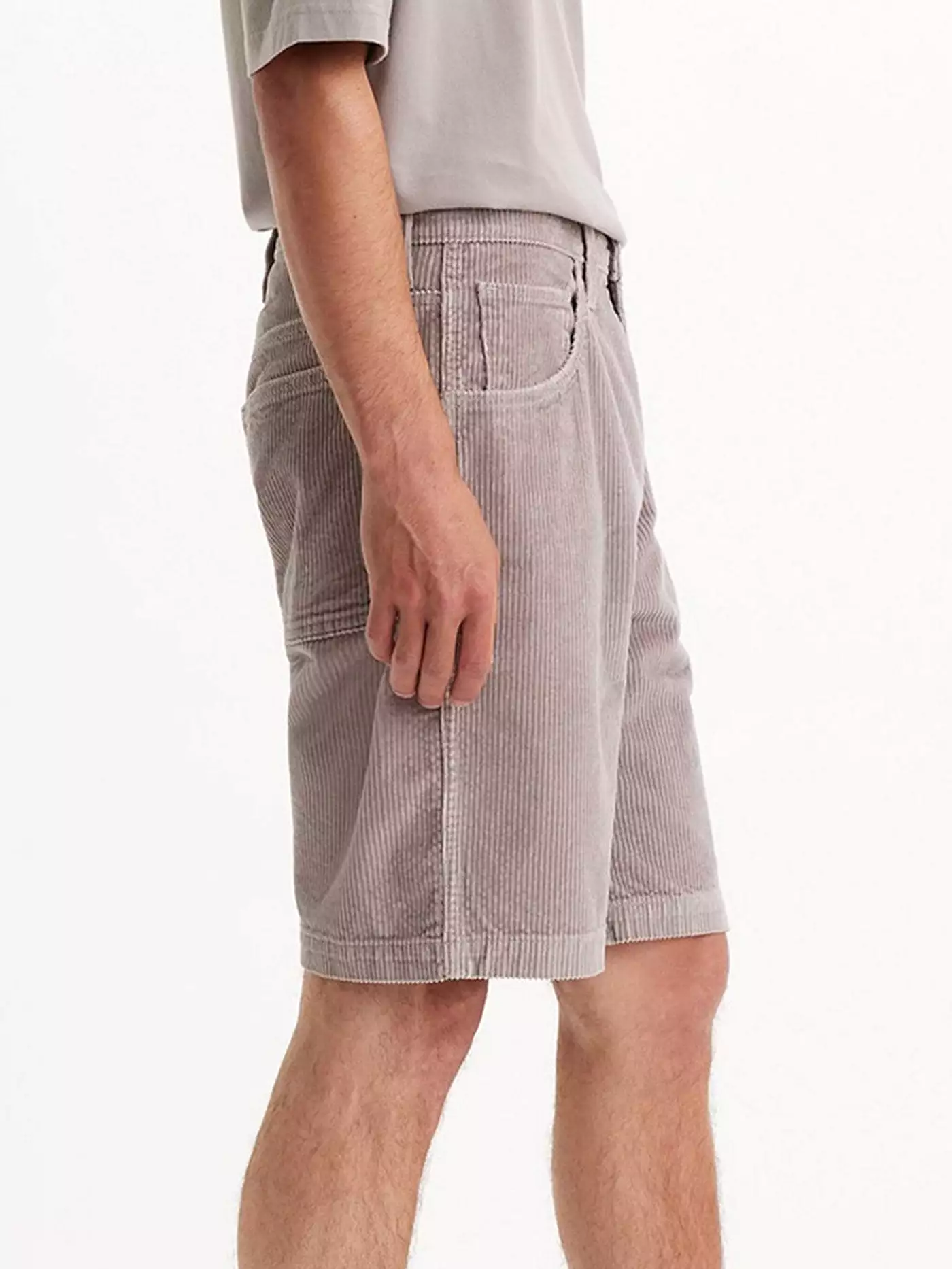 Skate Drop-In Silver Fox Shorts